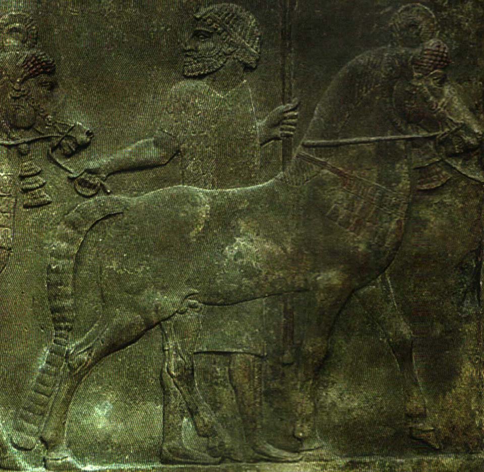 مادها در پرورش دام بویژه اسب مهارت داشتند و به همین دلیل هم در روزگار باستان، شهره شده بودند.